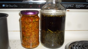 callendula and plantain in a jar